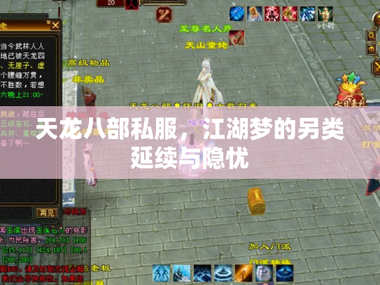 天龙八部私服，江湖梦的另类延续与隐忧