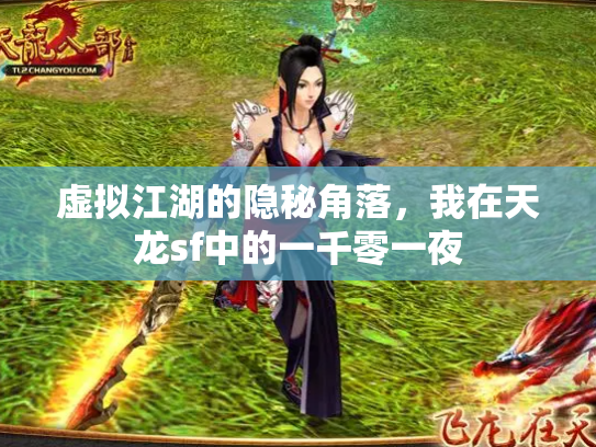 虚拟江湖的隐秘角落，我在天龙sf中的一千零一夜