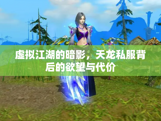 虚拟江湖的暗影，天龙私服背后的欲望与代价