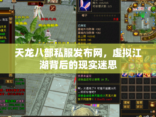 天龙八部私服发布网，虚拟江湖背后的现实迷思