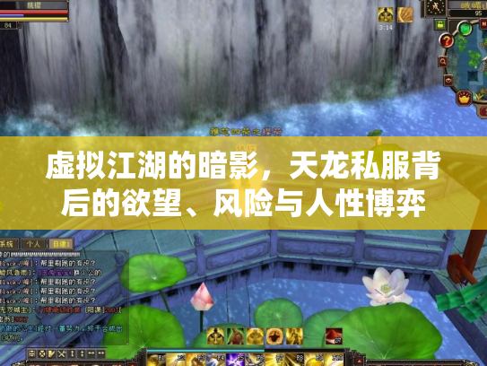 虚拟江湖的暗影,天龙私服背后的欲望、风险与人性博弈 虚拟江湖的暗影,天龙私服背后的欲望、风险与人性博弈