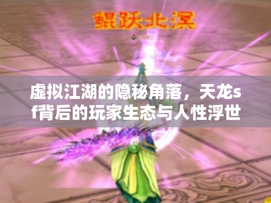 虚拟江湖的隐秘角落，天龙sf背后的玩家生态与人性浮世绘