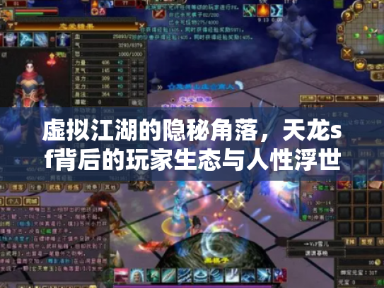 虚拟江湖的隐秘角落，天龙sf背后的玩家生态与人性浮世绘
