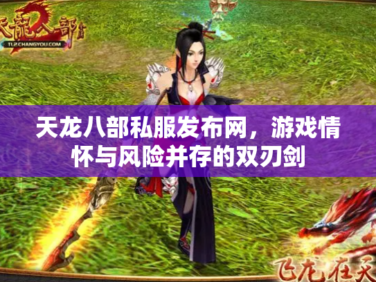 天龙八部私服发布网，游戏情怀与风险并存的双刃剑