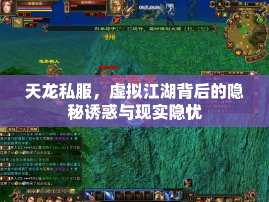 天龙私服，虚拟江湖背后的隐秘诱惑与现实隐忧