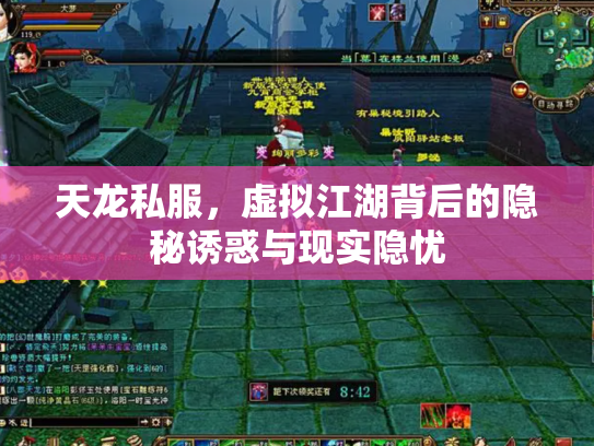 天龙私服，虚拟江湖背后的隐秘诱惑与现实隐忧