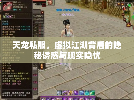 天龙私服，虚拟江湖背后的隐秘诱惑与现实隐忧