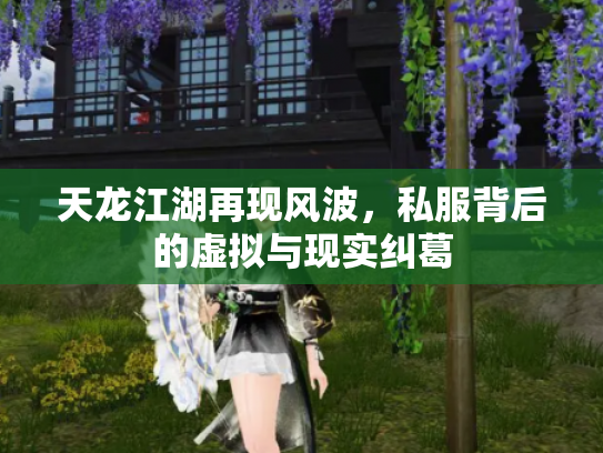 天龙江湖再现风波，私服背后的虚拟与现实纠葛