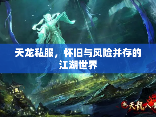 天龙私服，怀旧与风险并存的江湖世界