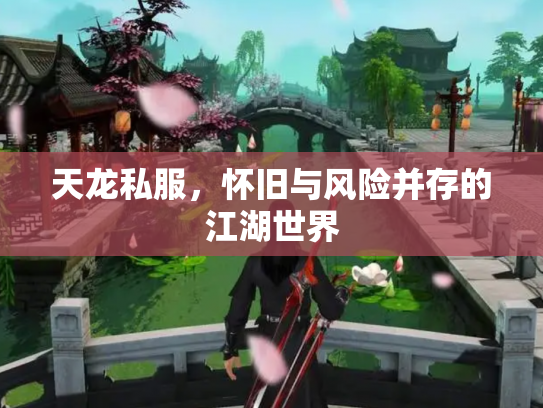 天龙私服，怀旧与风险并存的江湖世界