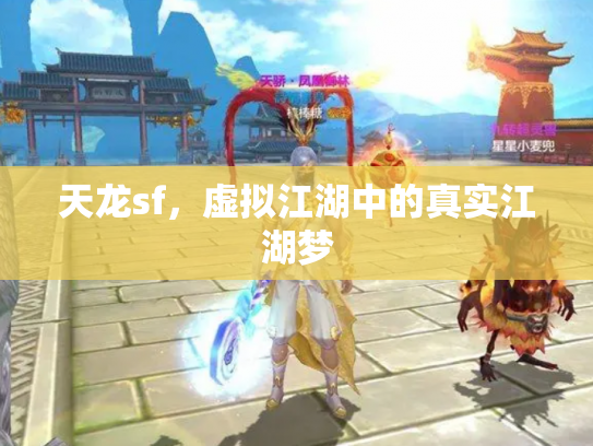 天龙sf，虚拟江湖中的真实江湖梦