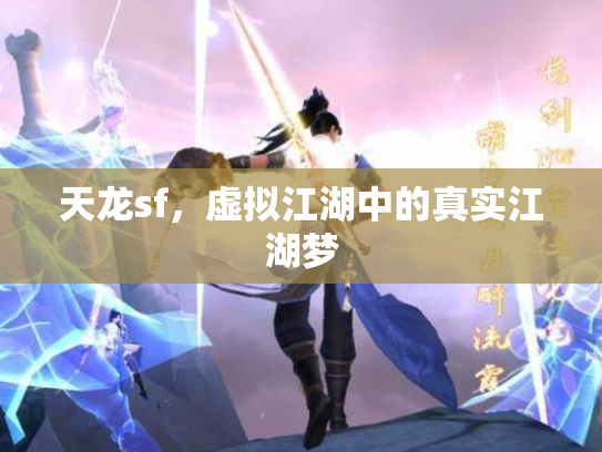 天龙sf，虚拟江湖中的真实江湖梦