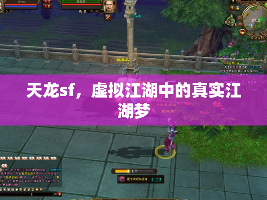 天龙sf，虚拟江湖中的真实江湖梦