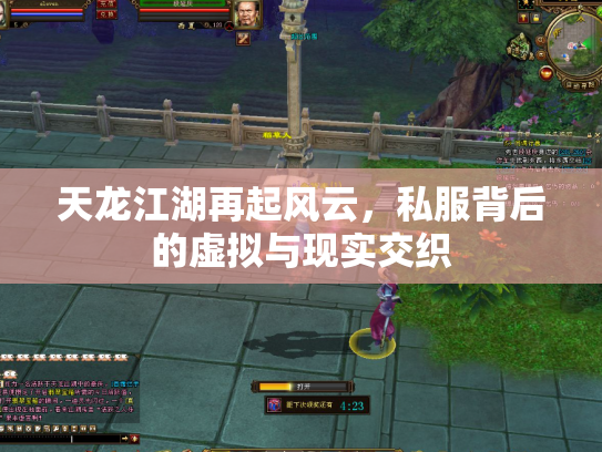 天龙江湖再起风云，私服背后的虚拟与现实交织