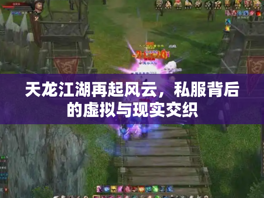 天龙江湖再起风云，私服背后的虚拟与现实交织