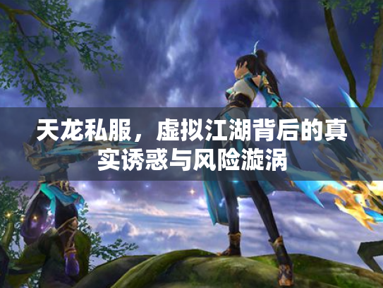 天龙私服，虚拟江湖背后的真实诱惑与风险漩涡