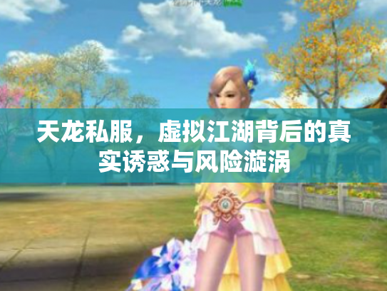 天龙私服，虚拟江湖背后的真实诱惑与风险漩涡