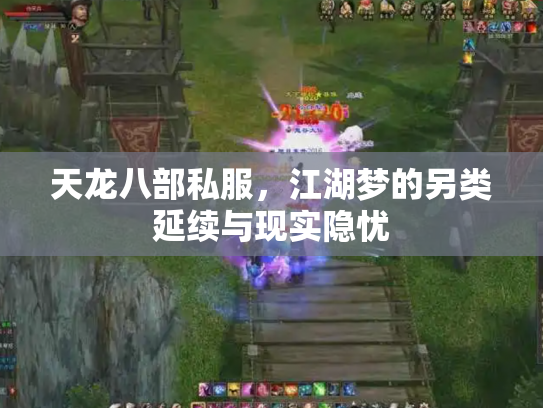 天龙八部私服，江湖梦的另类延续与现实隐忧
