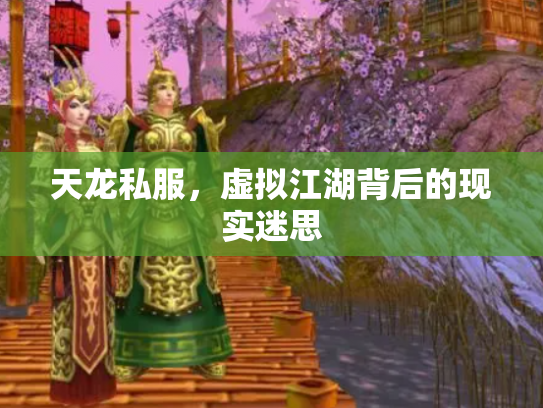 天龙私服，虚拟江湖背后的现实迷思