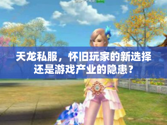 天龙私服，怀旧玩家的新选择还是游戏产业的隐患？