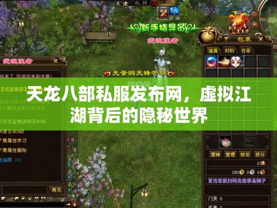 天龙八部私服发布网，虚拟江湖背后的隐秘世界