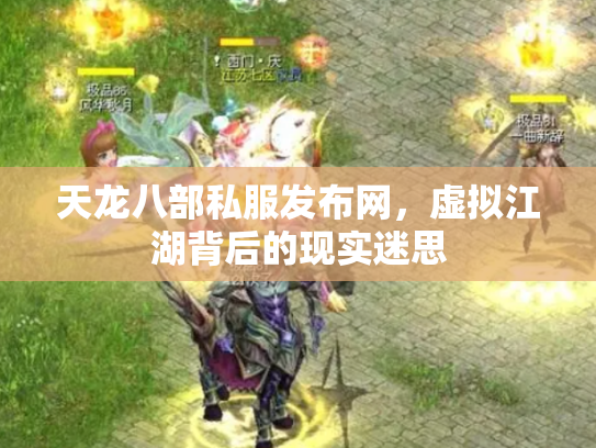 天龙八部私服发布网，虚拟江湖背后的现实迷思