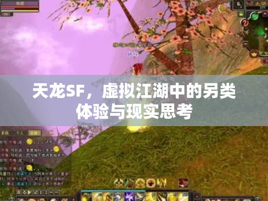 天龙SF，虚拟江湖中的另类体验与现实思考