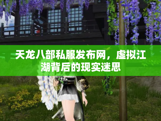 天龙八部私服发布网，虚拟江湖背后的现实迷思