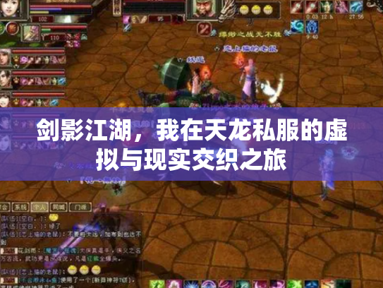 剑影江湖，我在天龙私服的虚拟与现实交织之旅