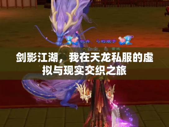剑影江湖，我在天龙私服的虚拟与现实交织之旅