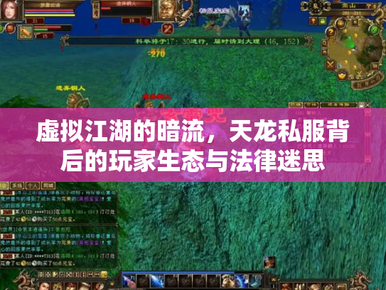 虚拟江湖的暗流，天龙私服背后的玩家生态与法律迷思