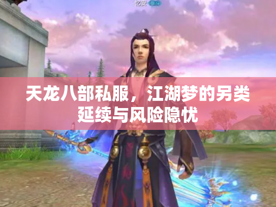 天龙八部私服，江湖梦的另类延续与风险隐忧