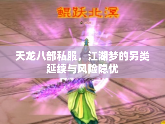 天龙八部私服，江湖梦的另类延续与风险隐忧