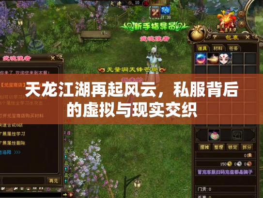 天龙江湖再起风云，私服背后的虚拟与现实交织