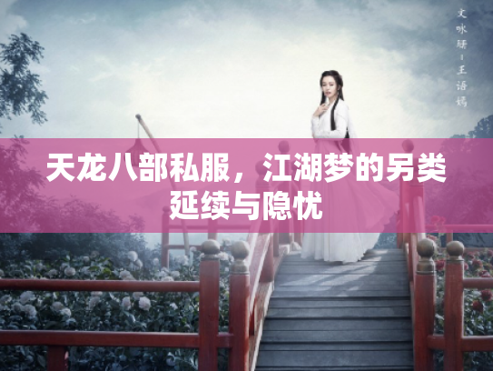 天龙八部私服，江湖梦的另类延续与隐忧