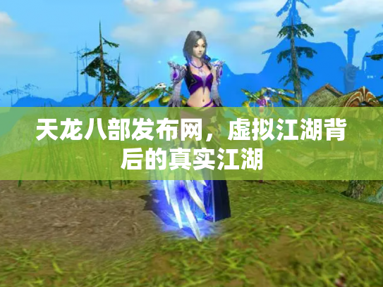 天龙八部发布网，虚拟江湖背后的真实江湖