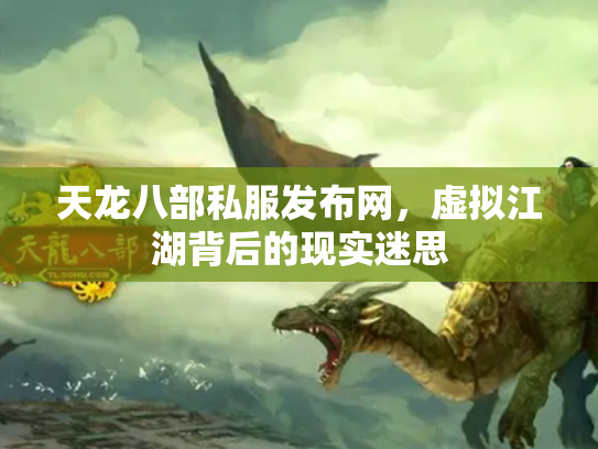 天龙八部私服发布网，虚拟江湖背后的现实迷思
