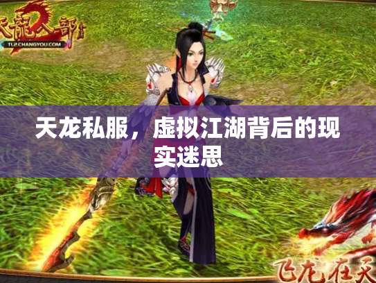 天龙私服，虚拟江湖背后的现实迷思