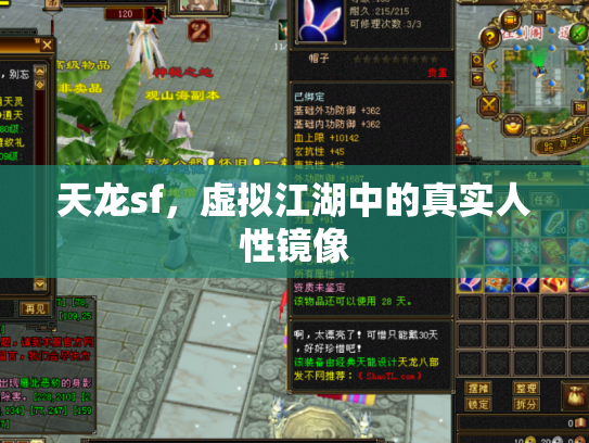 天龙sf，虚拟江湖中的真实人性镜像