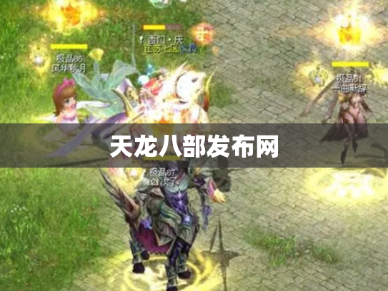 天龙八部发布网