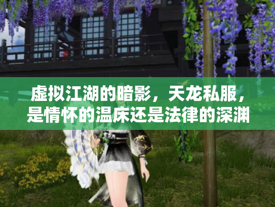 虚拟江湖的暗影，天龙私服，是情怀的温床还是法律的深渊？