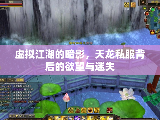 虚拟江湖的暗影，天龙私服背后的欲望与迷失