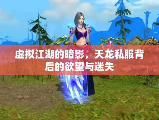 虚拟江湖的暗影，天龙私服背后的欲望与迷失