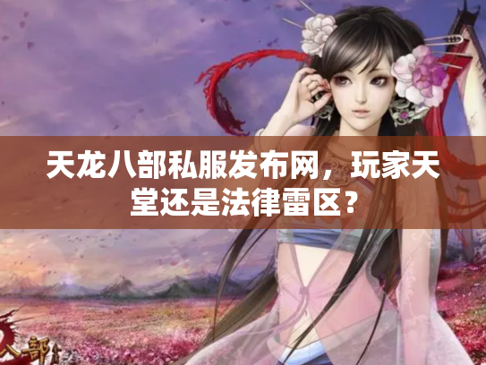 天龙八部私服发布网，玩家天堂还是法律雷区？