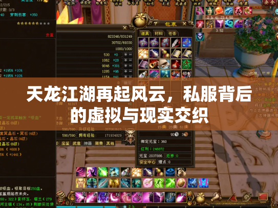 天龙江湖再起风云，私服背后的虚拟与现实交织