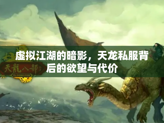 虚拟江湖的暗影，天龙私服背后的欲望与代价