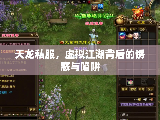 天龙私服，虚拟江湖背后的诱惑与陷阱