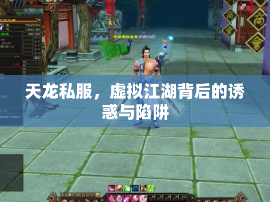 天龙私服，虚拟江湖背后的诱惑与陷阱