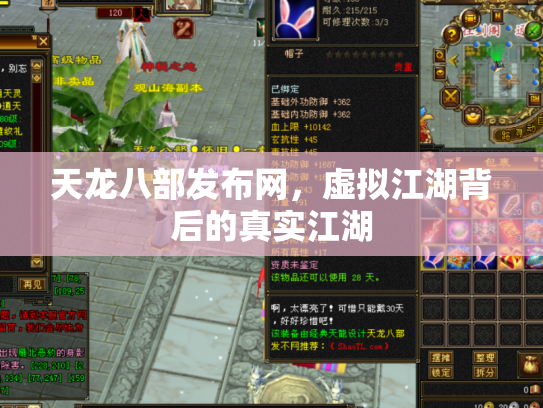 天龙八部发布网，虚拟江湖背后的真实江湖