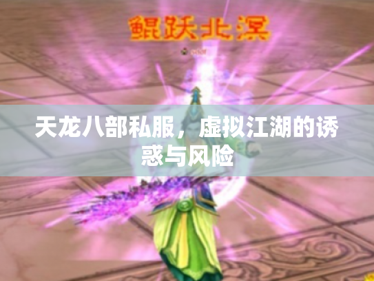 天龙八部私服，虚拟江湖的诱惑与风险